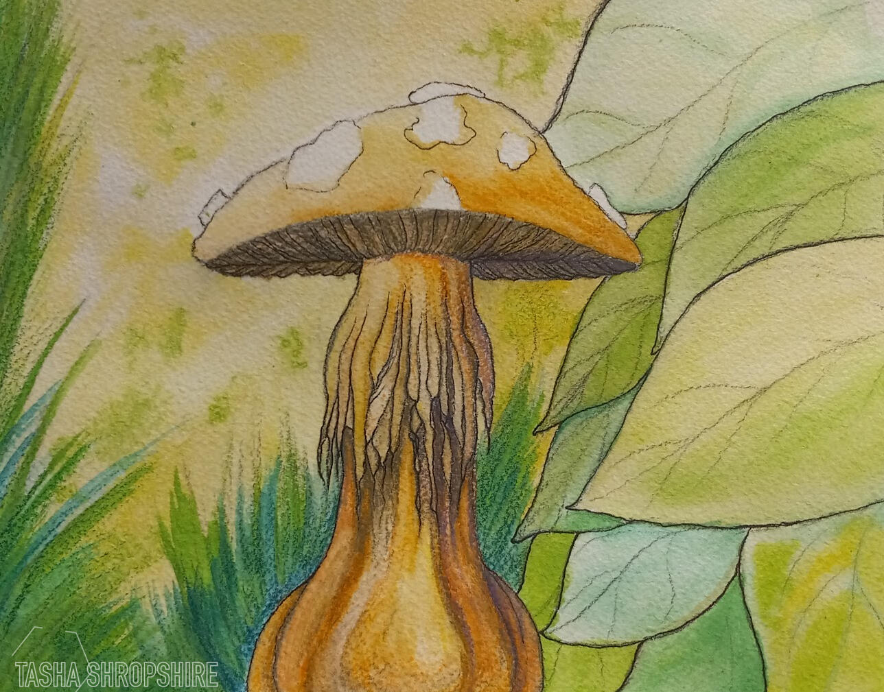 "Golden Teacher" - Watercolor and micron pen on 100% cotton paper